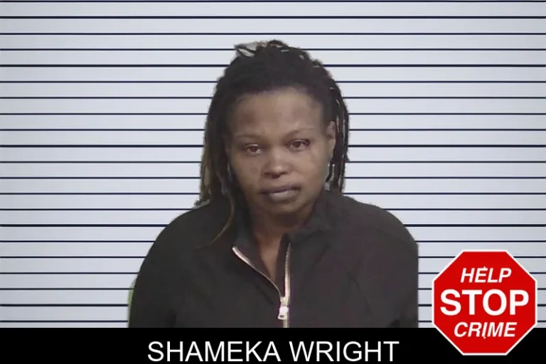 Shameka Wright mugshot – Wayne County , Georgia Shameka Wright
