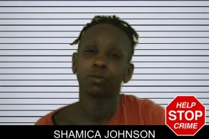 Shamica Johnson mugshot