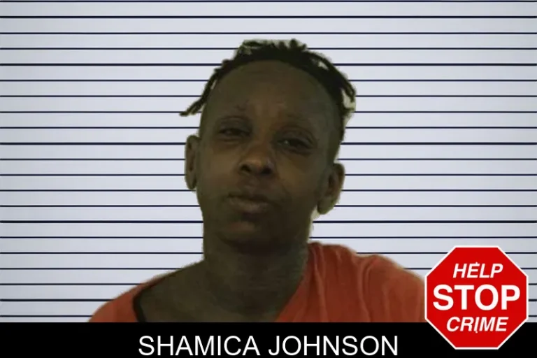 Shamica Johnson mugshot – Liberty County , Georgia Shamica Johnson