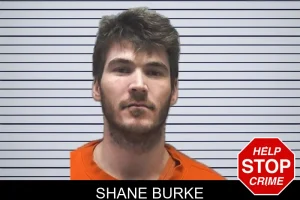 Shane Burke mugshot