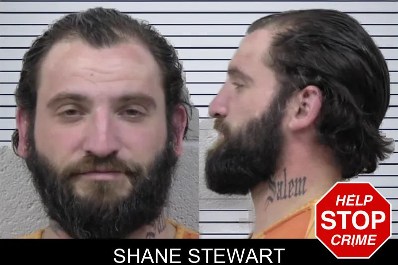 Shane Stewart mugshot