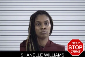 Shanelle Williams mugshot