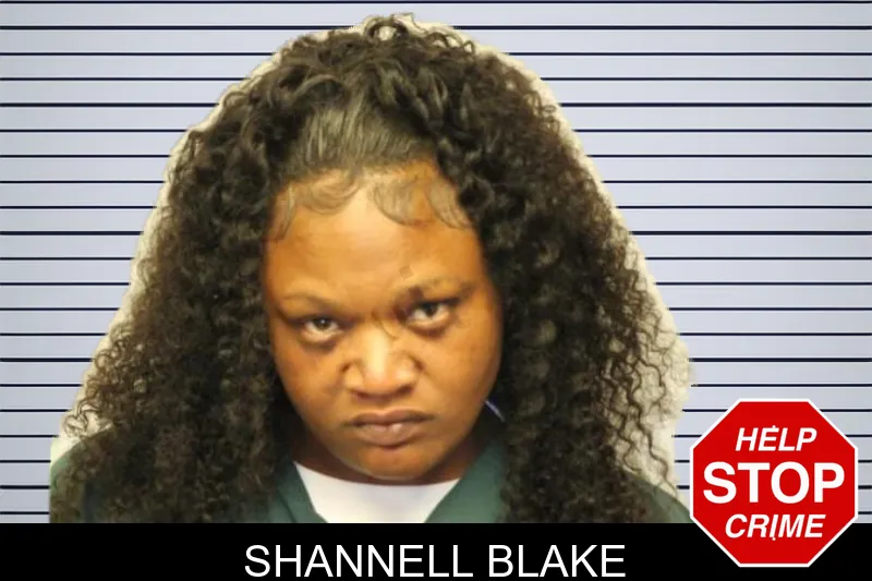Shannell Blake mugshot – Chatham County , Georgia Shannell Blake mugshot