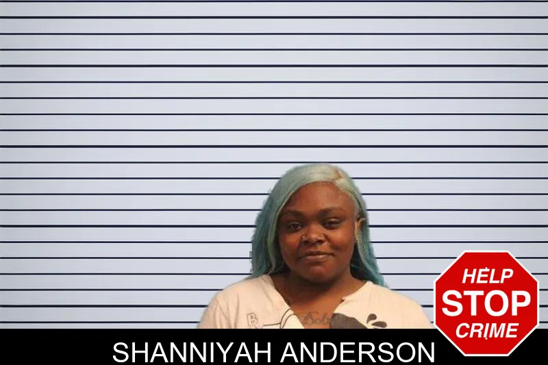 Shanniyah Anderson mugshot – Monroe County , Georgia Shanniyah Anderson mugshot