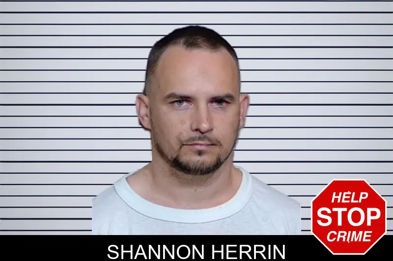 Shannon Herrin mugshot