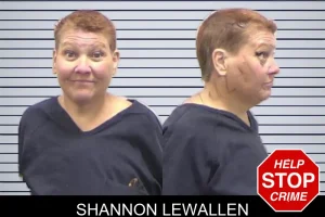 Shannon Lewallen mugshot
