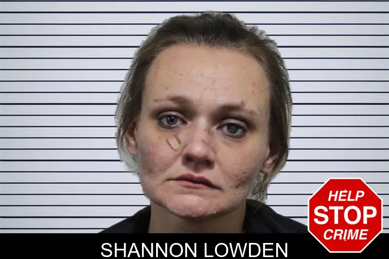 Shannon Lowden mugshot – Habersham County , Georgia Shannon Lowden mugshot