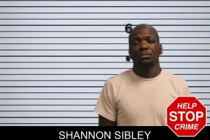 Shannon Sibley mugshot