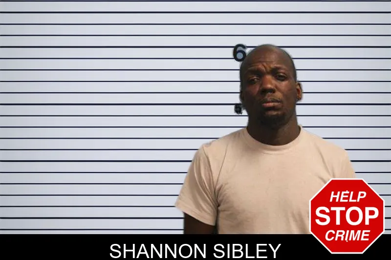 Shannon Sibley mugshot