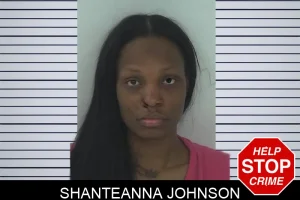 Shanteanna Johnson mugshot