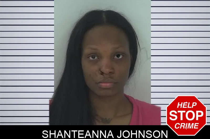 Shanteanna Johnson mugshot