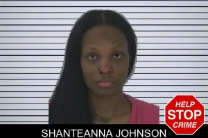 Shanteanna Johnson mugshot