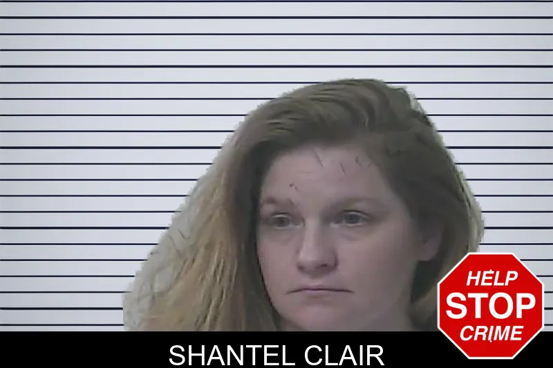 Shantel Clair mugshot