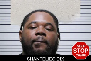 Shantelies Dix mugshot