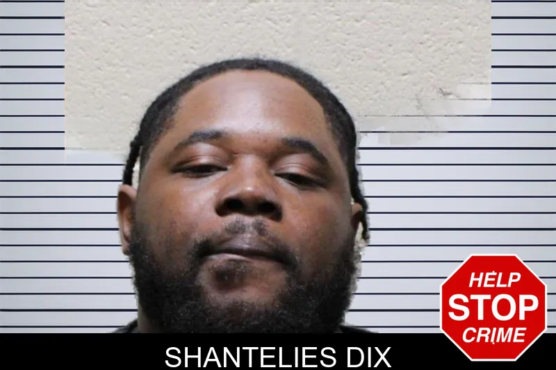 Shantelies Dix mugshot
