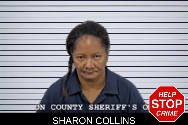 Sharon Collins mugshot