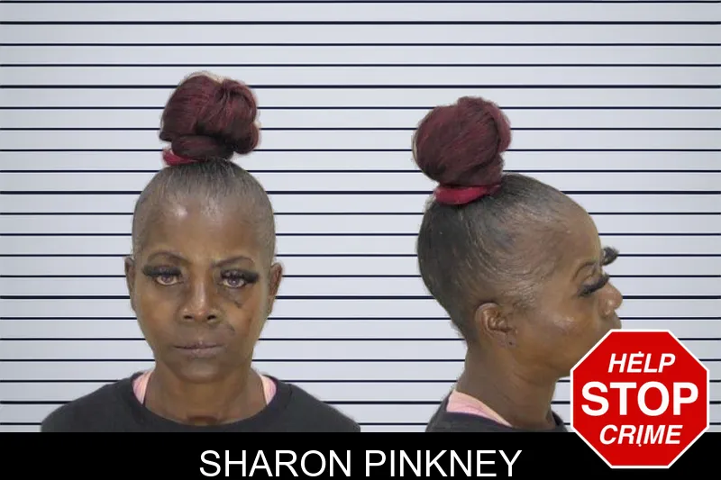Sharon Pinkney mugshot