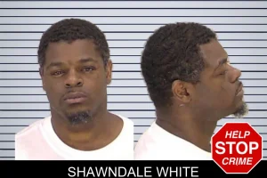 Shawndale White mugshot