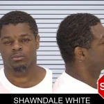 Shawndale White mugshot