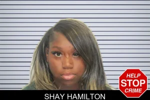 Shay Hamilton mugshot
