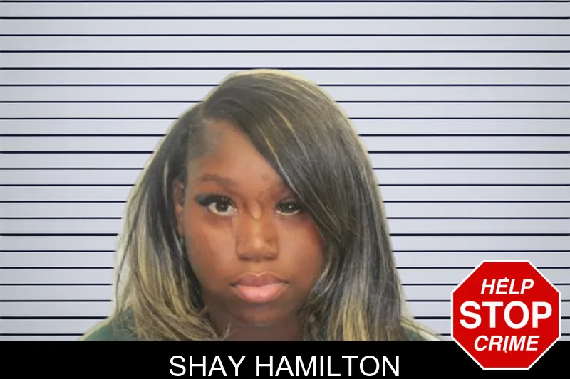 Shay Hamilton mugshot