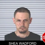 Shea Wadford mugshot