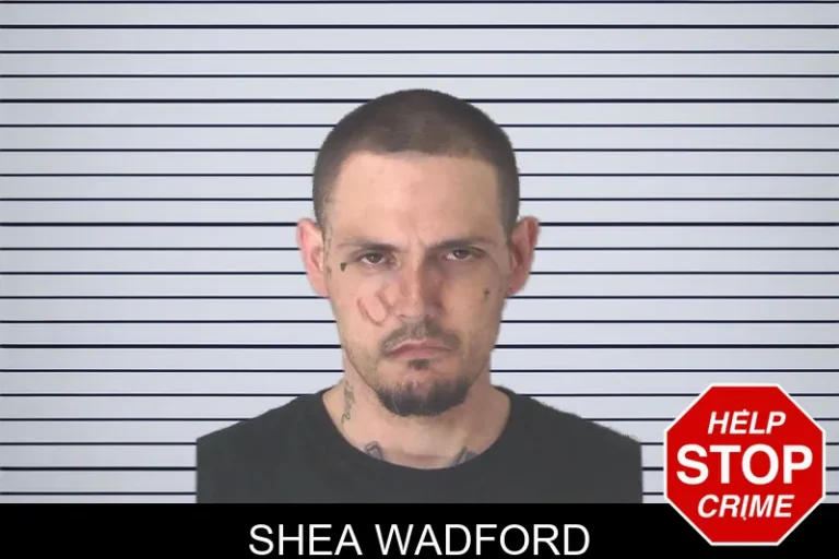 Shea Wadford