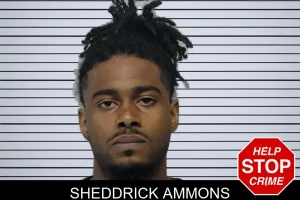 Sheddrick Ammons mugshot