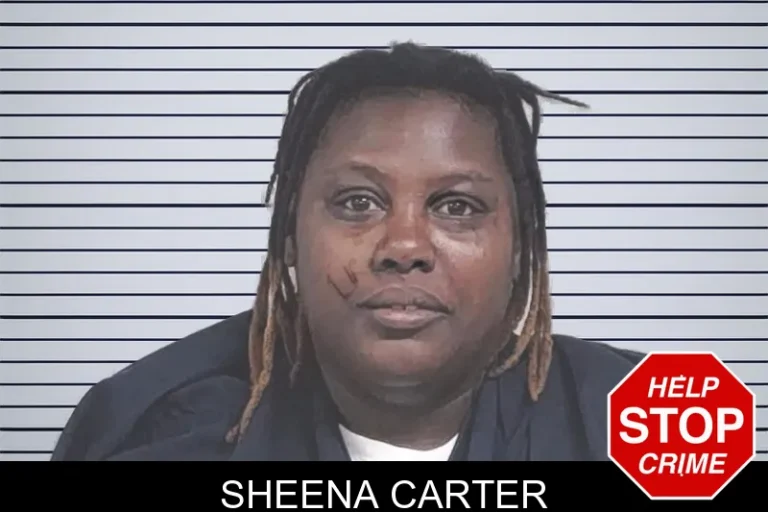 Sheena Carter mugshot – Lowndes County , Georgia Sheena Carter