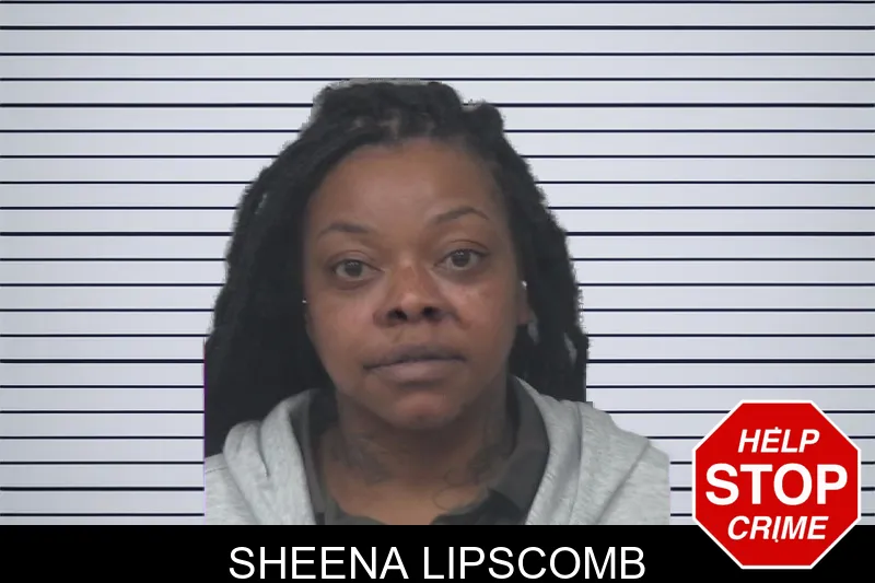 Sheena Lipscomb mugshot – Gwinnett County , Georgia Sheena Lipscomb mugshot