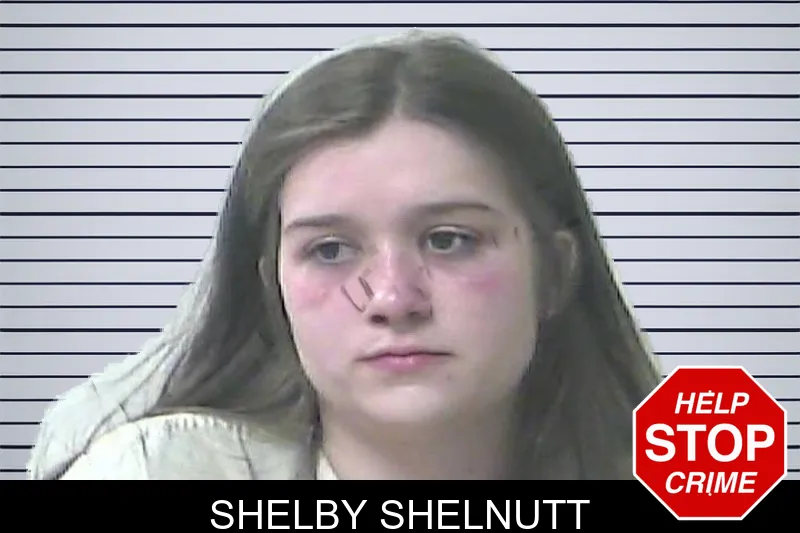 Shelby Shelnutt mugshot
