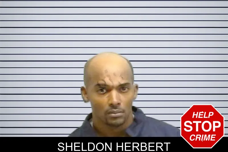 Sheldon Herbert mugshot – Fulton County , Georgia Sheldon Herbert mugshot