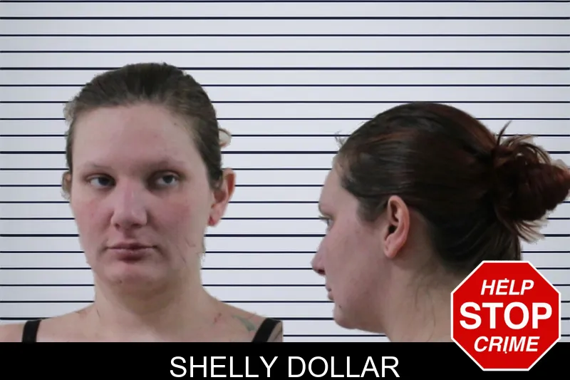Shelly Dollar mugshot