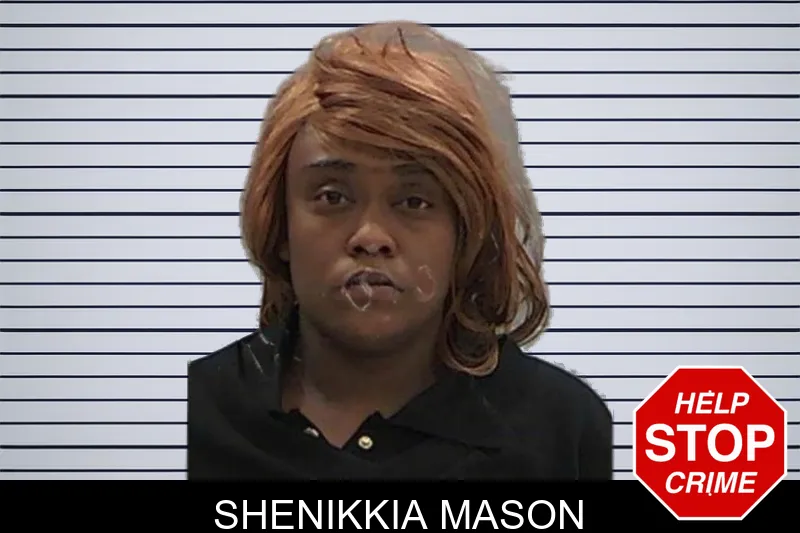 Shenikkia Mason mugshot