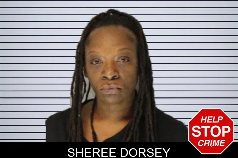 Sheree Dorsey mugshot – Hall County , Georgia Sheree Dorsey mugshot