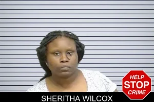 Sheritha Wilcox mugshot
