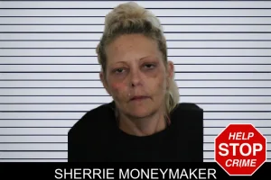 Sherrie Moneymaker mugshot