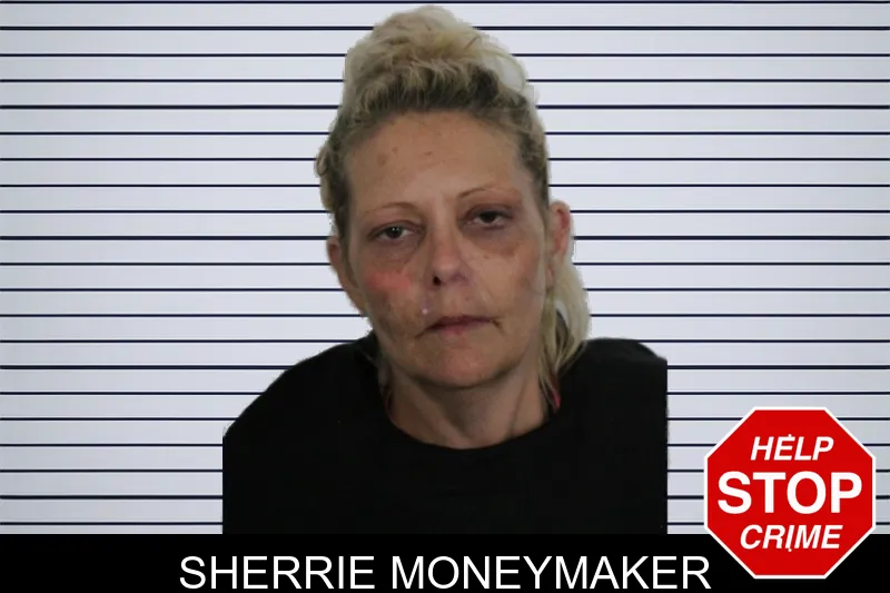 Sherrie Moneymaker mugshot