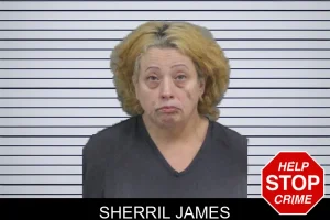 Sherril James mugshot