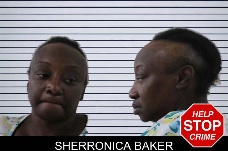 Sherronica Baker mugshot