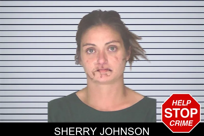 Sherry Johnson mugshot
