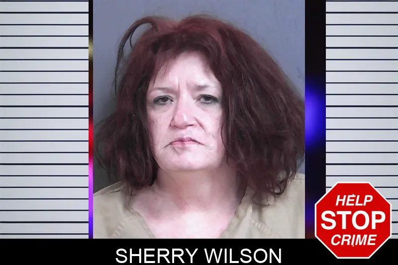 Sherry Wilson mugshot