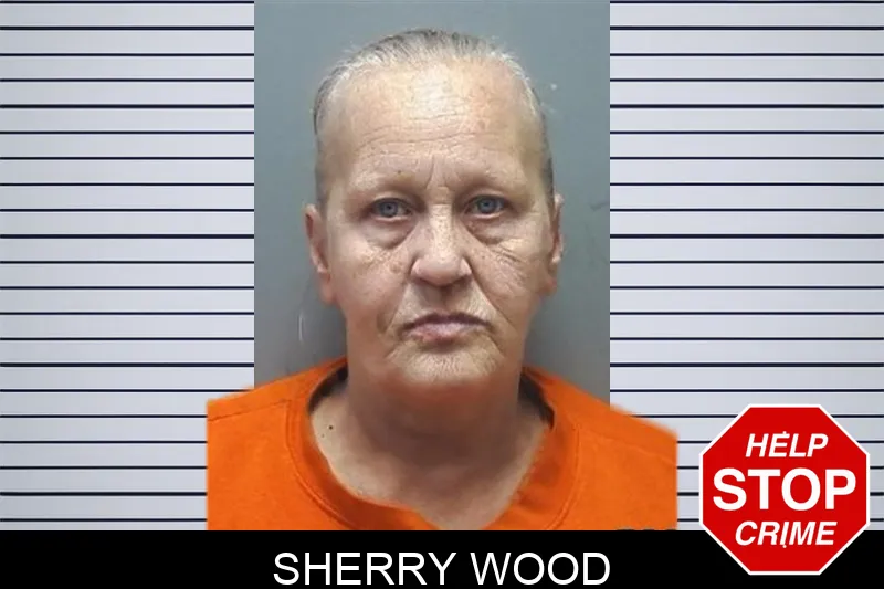 Sherry Wood mugshot
