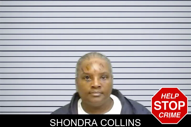 Shondra Collins mugshot – Fulton County , Georgia Shondra Collins mugshot