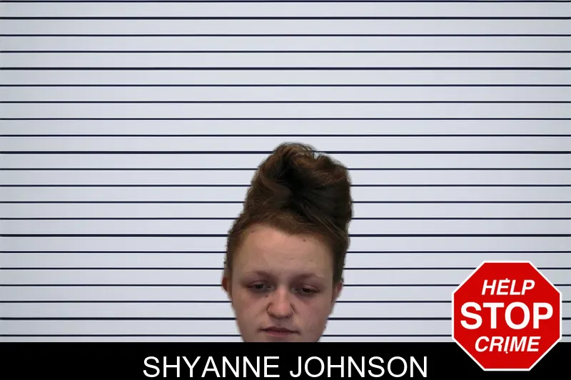 Shyanne Johnson mugshot – Hart County , Georgia Shyanne Johnson mugshot