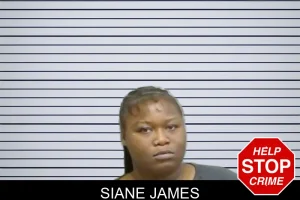 Siane James mugshot