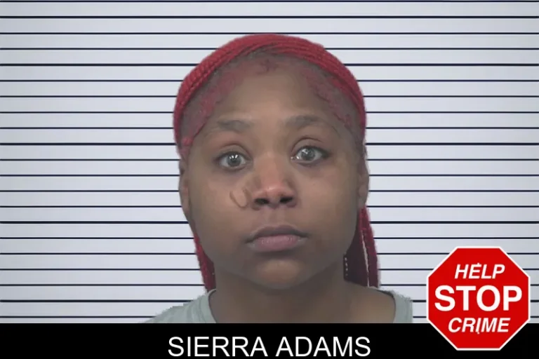 Sierra Adams mugshot – Gwinnett County , Georgia Sierra Adams