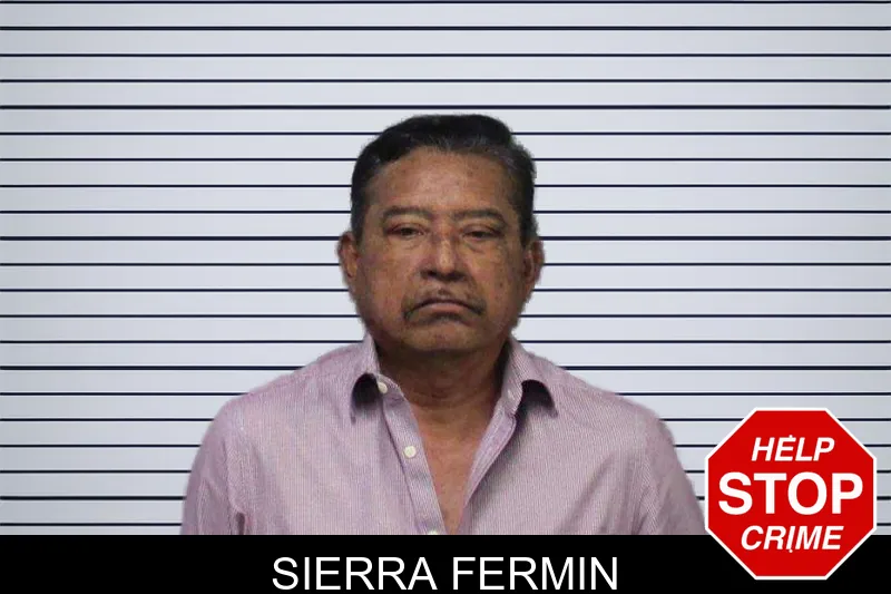 Sierra Fermin mugshot