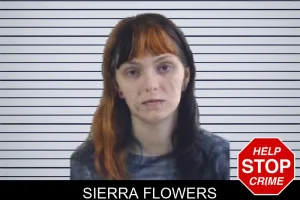 Sierra Flowers mugshot