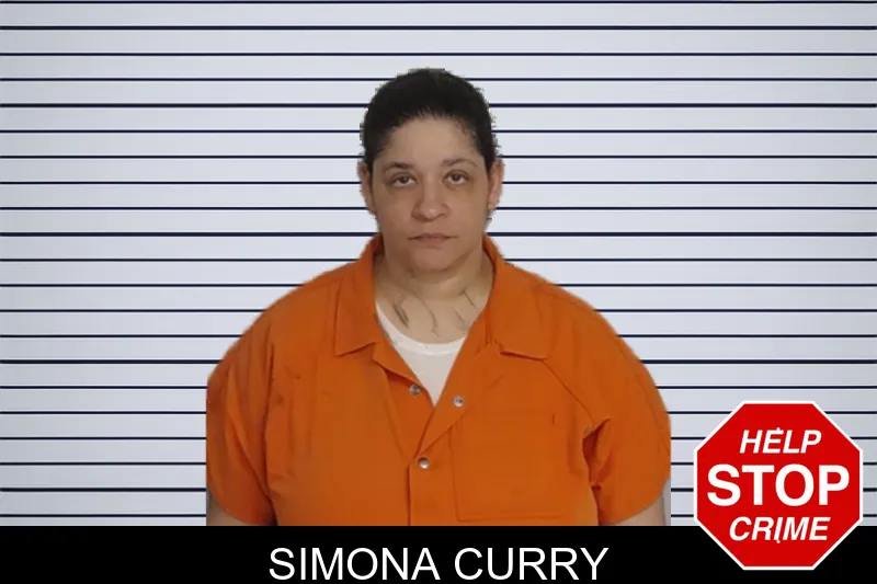 Simona Curry mugshot